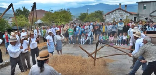 A aldea de Puxedo prepárase para a Festa da Malla