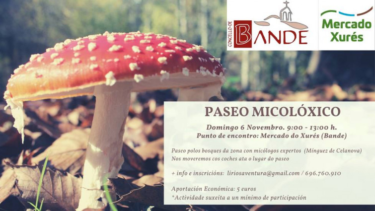 Xornadas micolóxicas en Bande