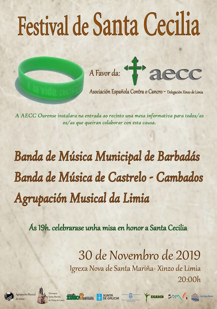 Festival de bandas de Santa Cecilia