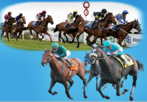O hipódromo de Antela acolle o Gran Premio Copa Deputación de Ourense