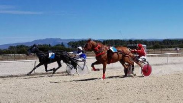 Un cabalo ourensán gaña por primeira vez un premio nacional de trote no Hipódromo de Antela
