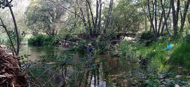 Campionato autonómico de pesca en Bande este domingo.