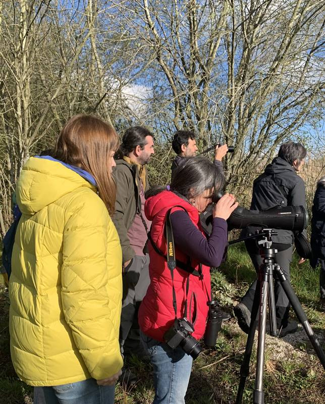 Visita as areeiras da Sandiás e ao Centro de Interpretación da Lagoa de Antela