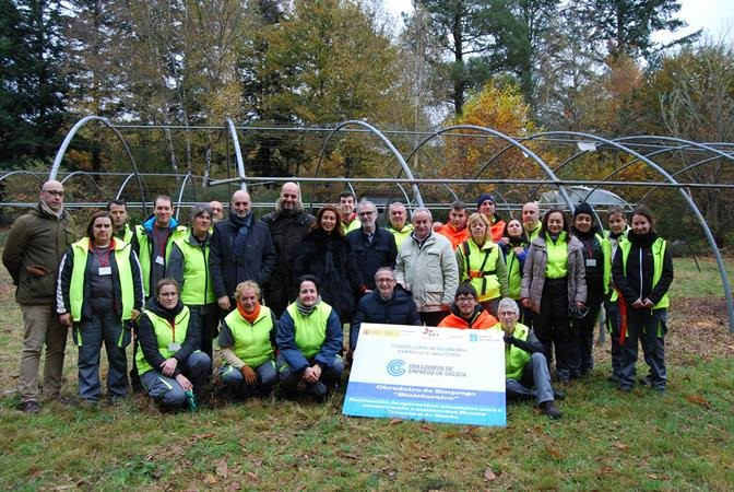 Obradoiro de emprego en aproveitamento forestal para os concellos de Bande e Celanova