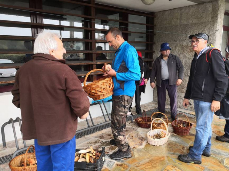 Roteiro para coñecer e coller cogomelos en Sandiás, para os seus veciños