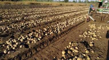 “Van ser uns meses complicados para os agricultores limiáns”. -Amador Díaz
