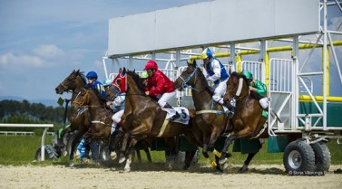 O hipódromo de Antela presenta as carreiras de trote enganchado e galope