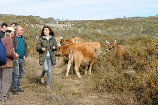 Medio Rural destinou 143.000 euros a recuperar áreas queimadas e previr lumes en Cualedro