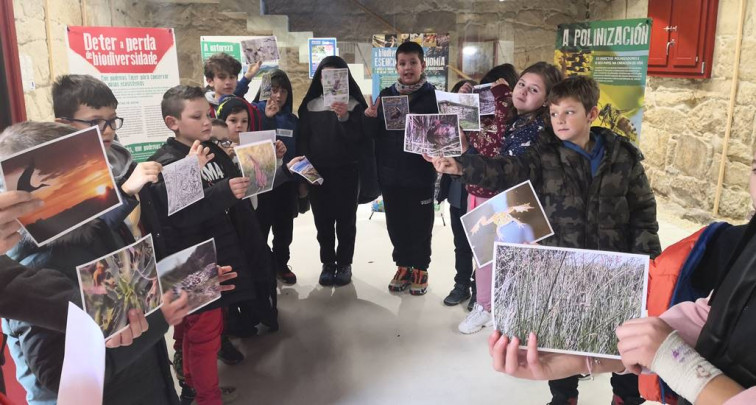 O CEIP DE SANDIÁS VISITA A EXPOSICIÓN DIDÁCTICA “SIN BIODIVERSIDADE NON HAI VIDA”