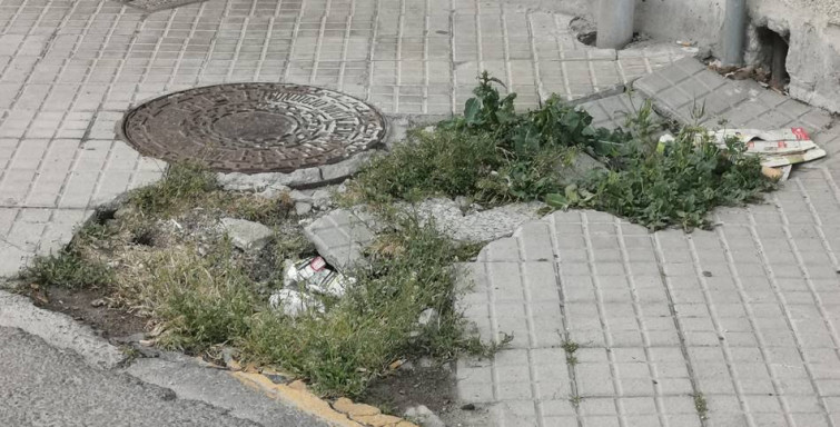 Preparados para recoller a colleita