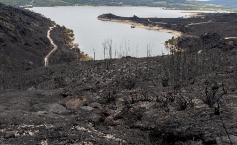 Extinguido o incendio de Entrimo tras calcinar 3.000 hectáreas