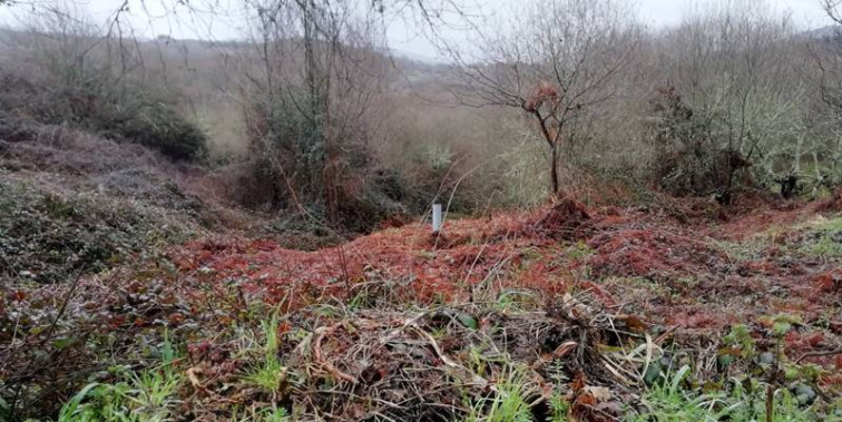 O BNG  da Limia Baixa, denuncia que o abandono de foxas sépticas en aldeas de Bande contamina terras e o río Cadós