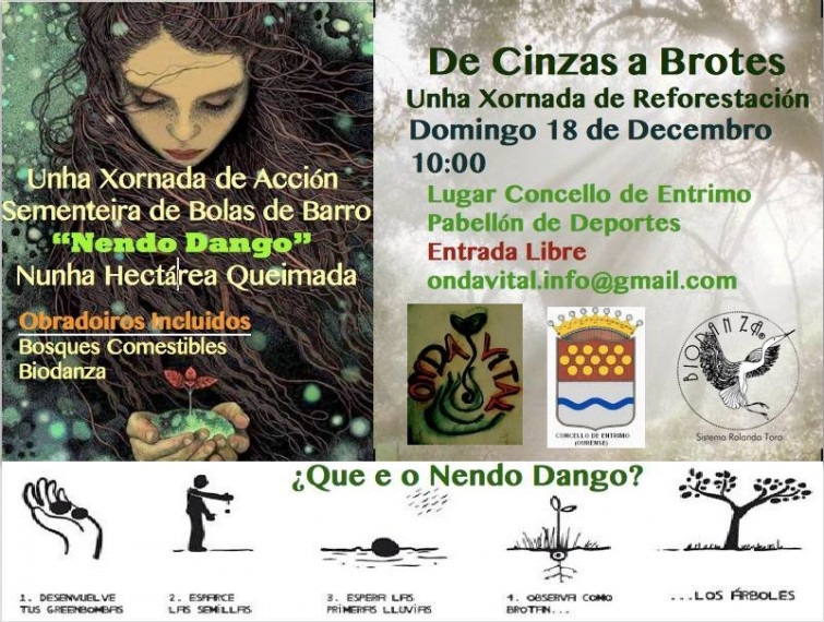 Entrimo reforestará unha hectárea de bosque queimado