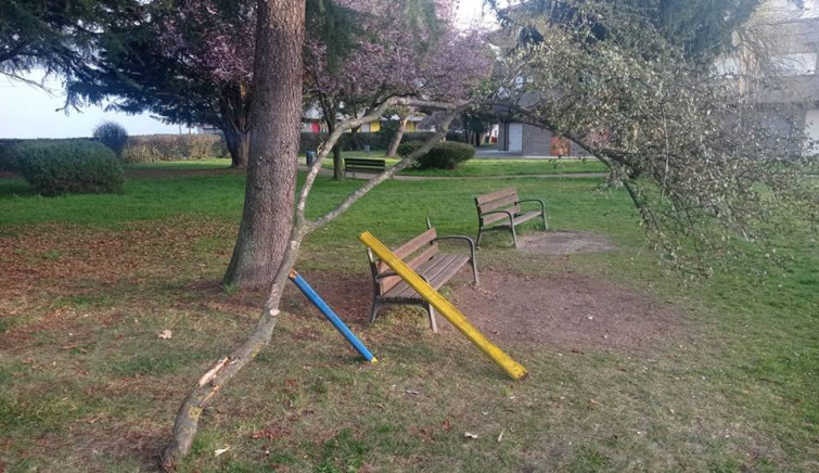 Foto denuncia