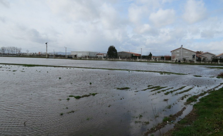 A produción agrícola da Limia en risco polas choivas.