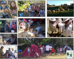 O campamento do CDR O Viso xuntou a cativada de toda Galicia en Lodoselo