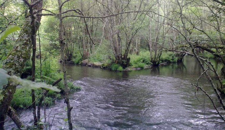 O alumnado de 4º-5º e 6º do ceip de Bande vanse de pesca