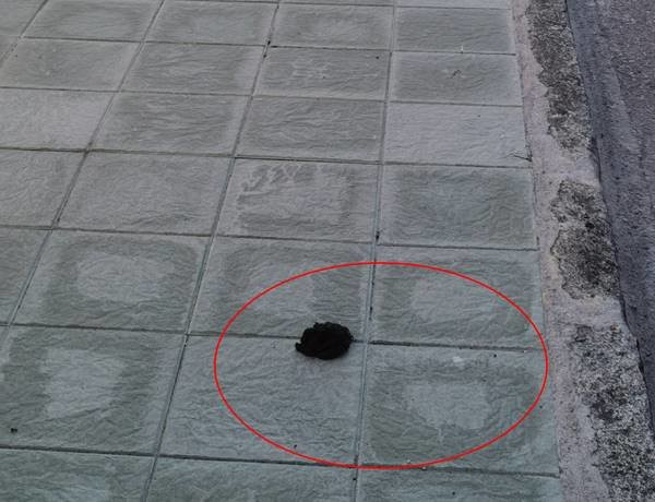 Isto non é culpa de ningún goberno local,  nin pasado nin presente nin futuro