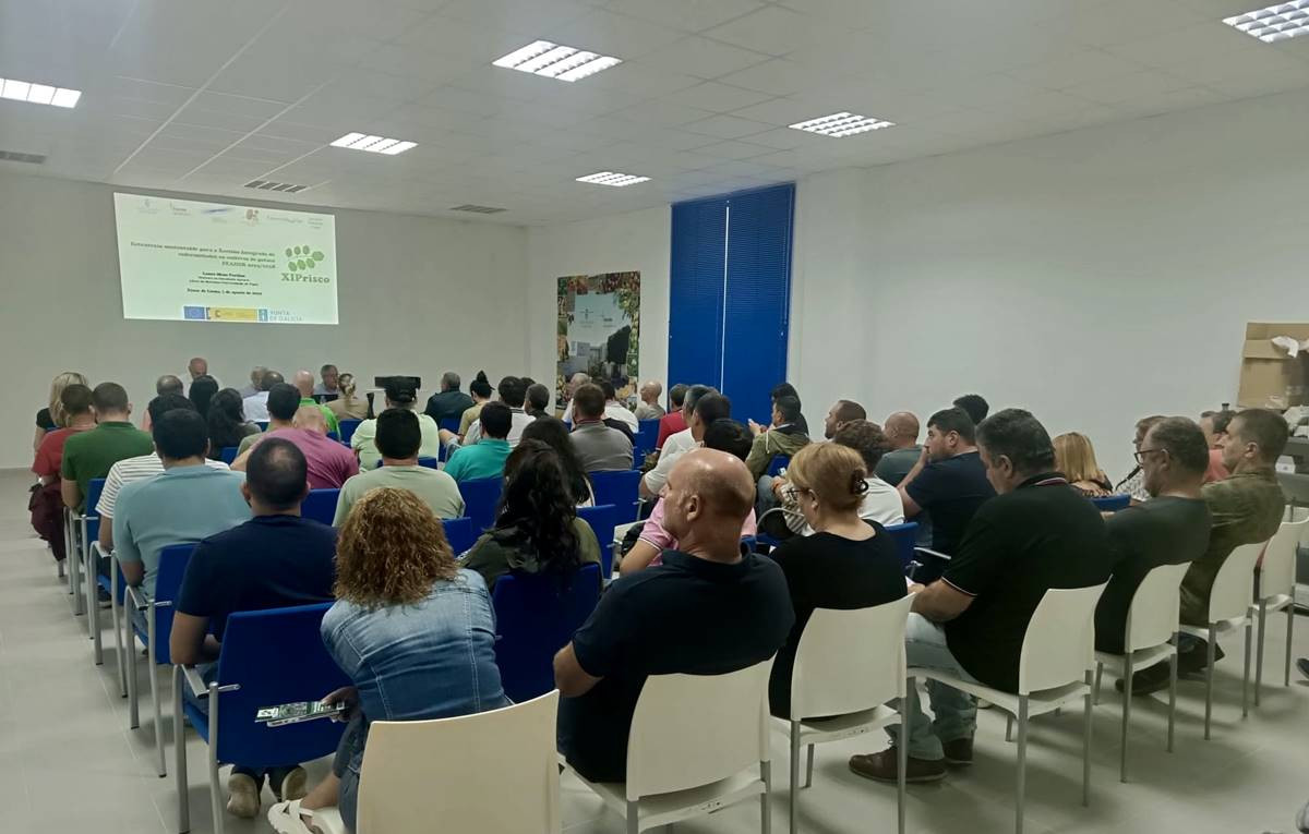 Xornada de identificaciu00f3n de pragas e enfermidades da pataca   2