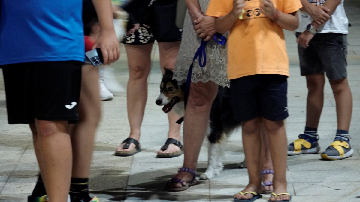  DSC7968