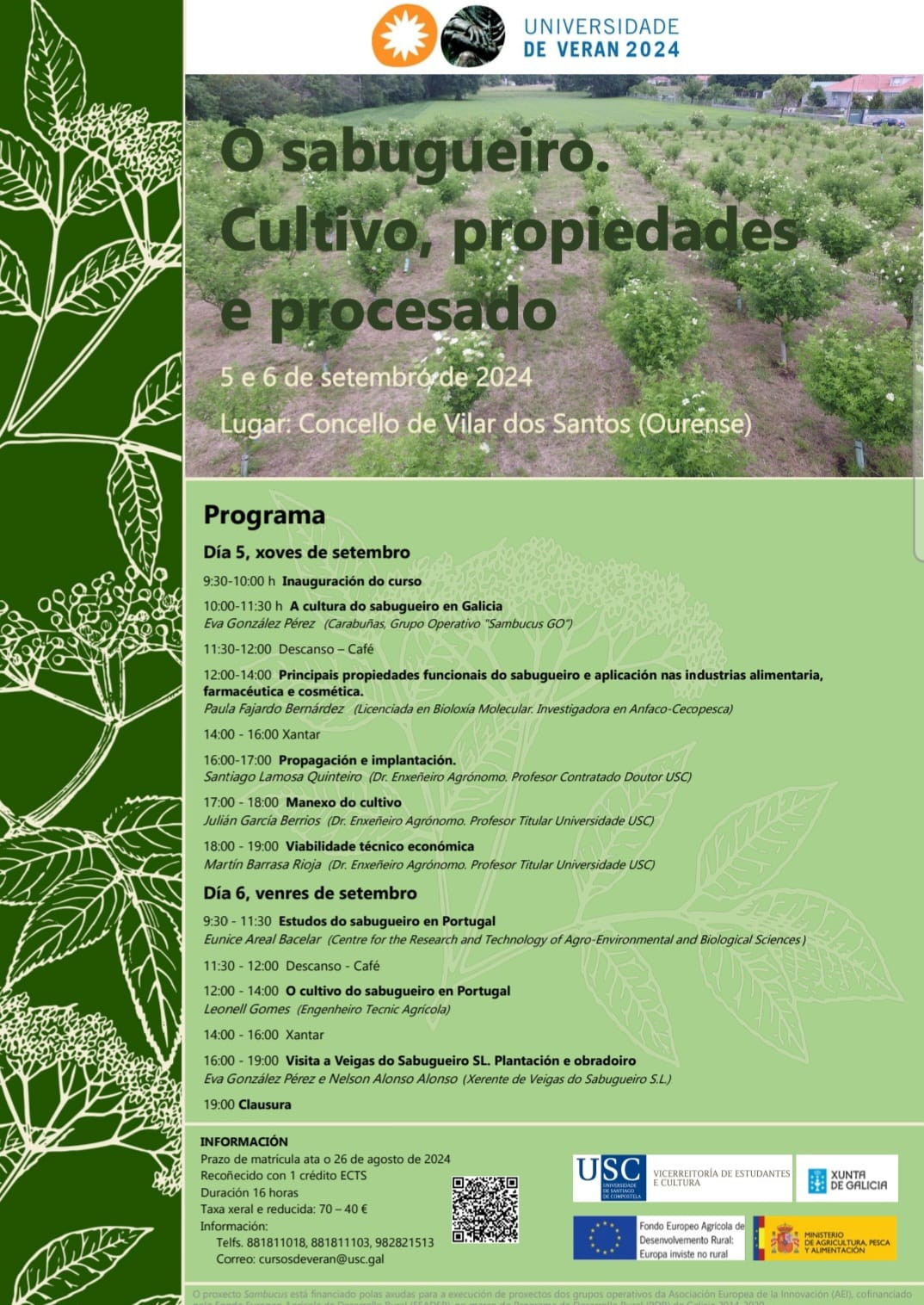 CURSO SABUGUEIRO