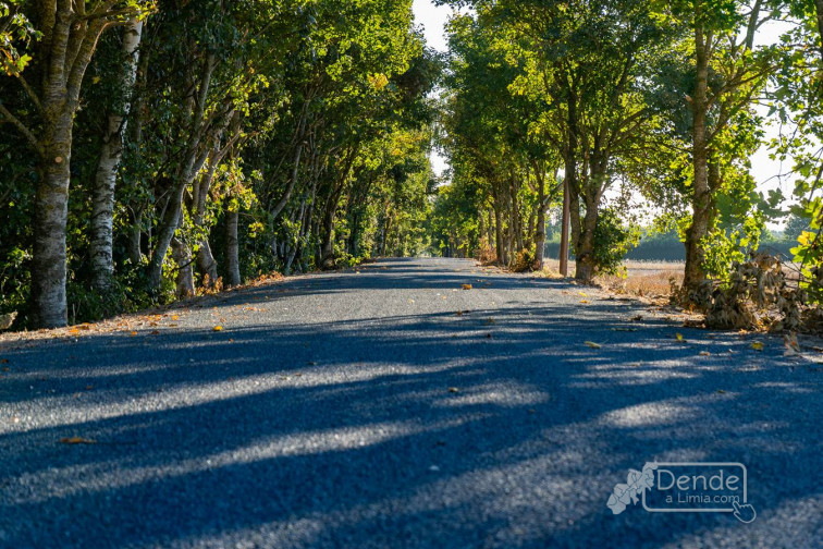 280.000 € para rehabilitación de pistas no rural de Xinzo