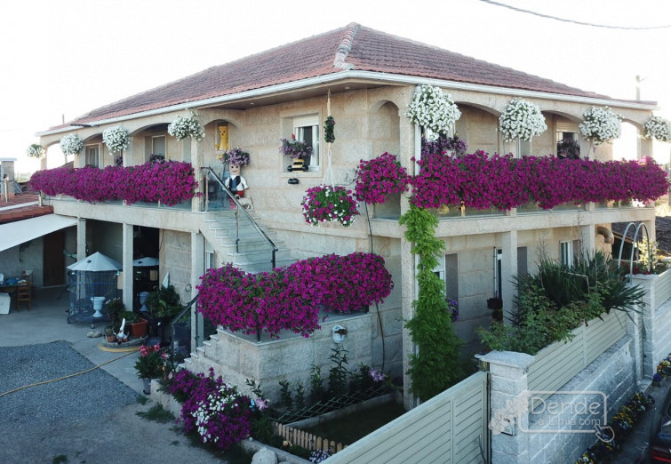 Estas son las casas con las flores más bonitas de Xinzo