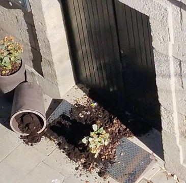 Zamora guarda silencio por las víctimas del atentado de Barcelona 