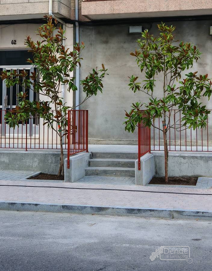 IMG 20241118 104846