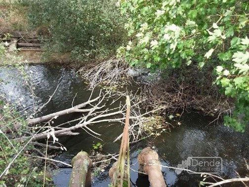 170.000 € para traballos de conservación nos rios de Xinzo