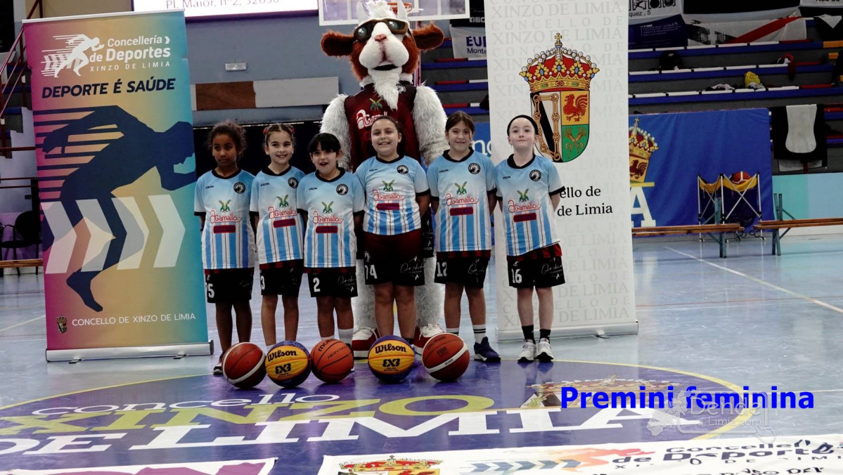 Premini feminina