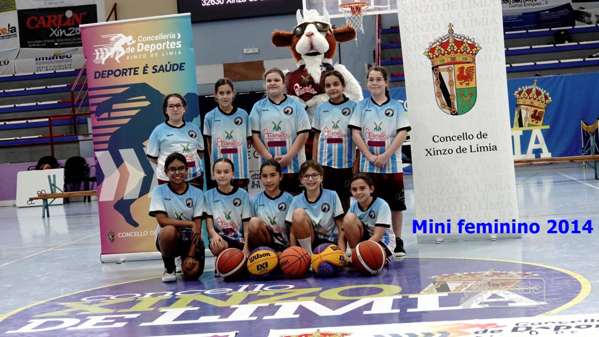 Mini feminino 2014