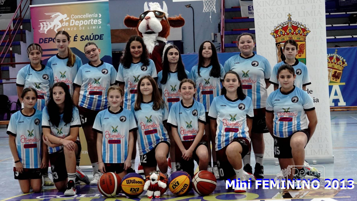 Mini feminino 2013