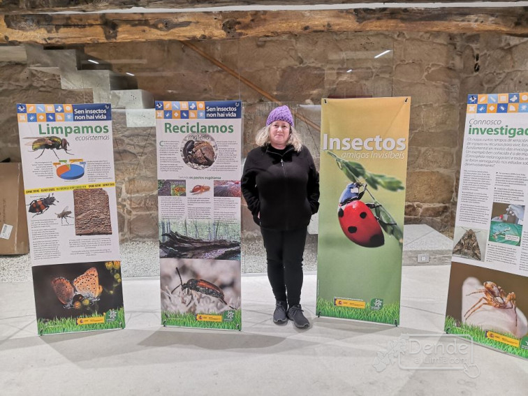 O Centro de Interpretación da Lagoa de Antela presenta a exposición didáctica “SIN INSECTOS NON HAI VIDA”