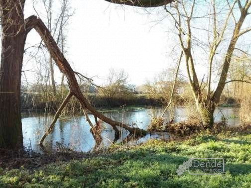 Rio Limia  Xinzo (2)