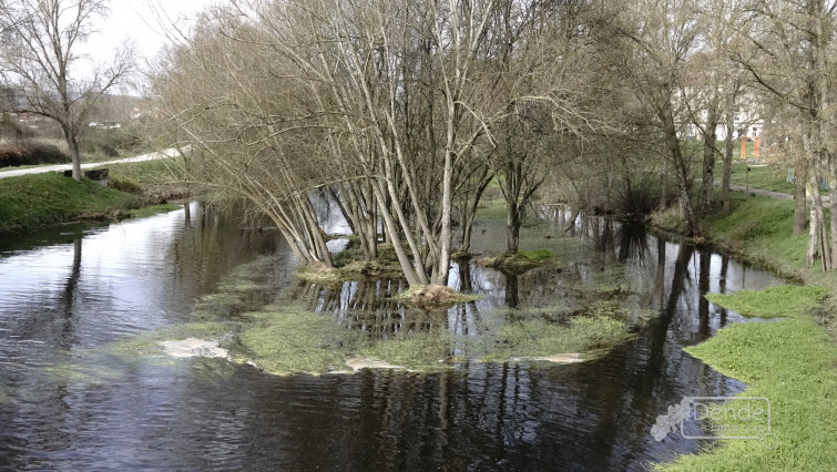 A CHMS inicia os traballos de conservación no río Limia