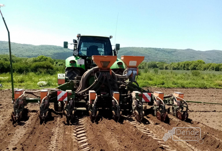 Todas las explotaciones realizan analíticas de los suelos, cuentan con asesores externos inscritos en el ROPO de la Consellería de Medio Rural (ADEGAL)