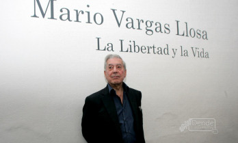 Máis de cinco horas con Mario