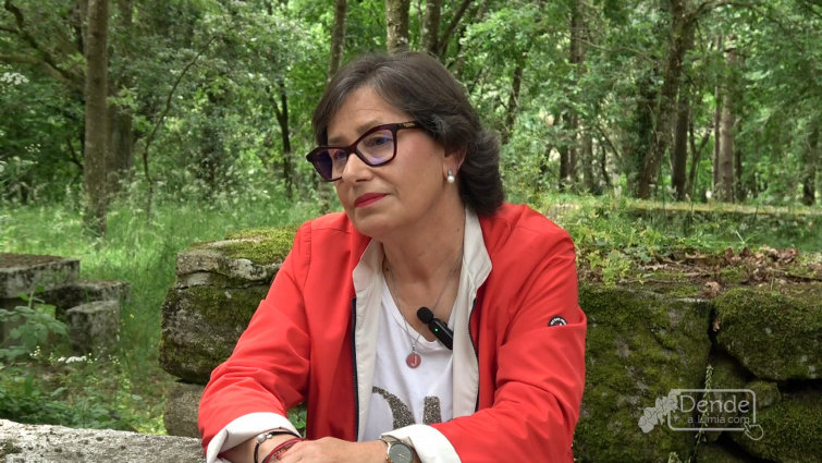 Elvira Lama deixa a Deputación despois de 14 anos