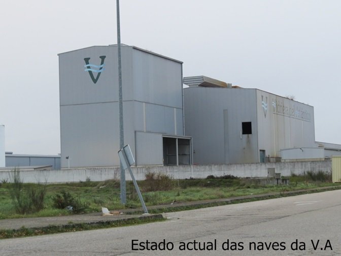 foto bidriera2
