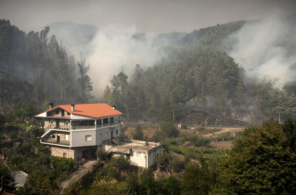 fuego-arrasa-3.000-hectareas-ourense-15_g