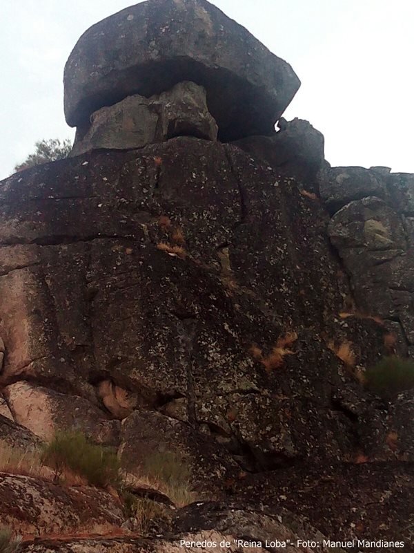 Penedos de reina loba