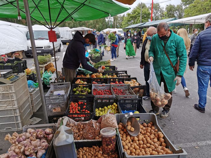 Feira 13.06003