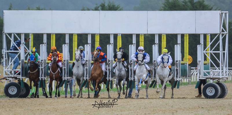 Salida Cajones Hipodromo Antela Carrera de PRA