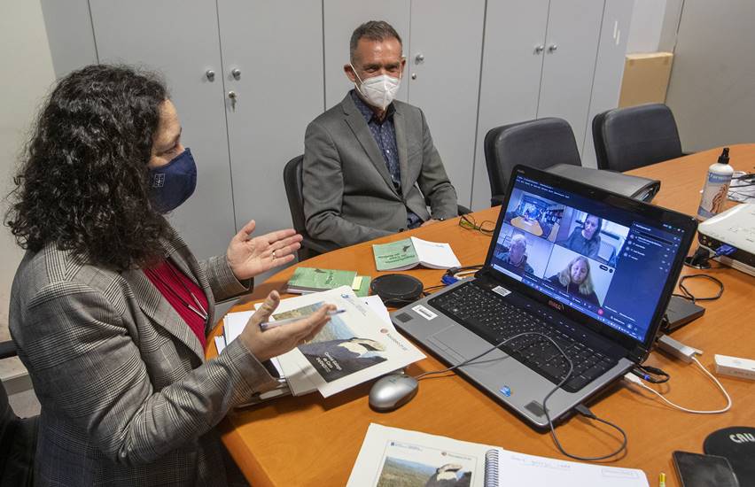     A directora xeral de Patrimonio Natural, Belén do Campo, preside a reunión por videoconferencia do Comité Galego de Caza. 