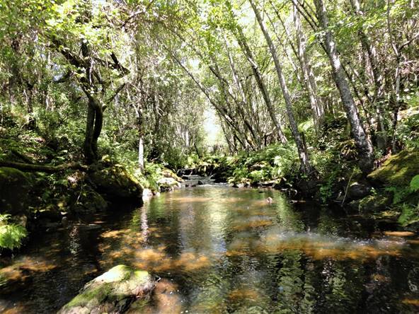 Rio Cadós(2)- Bande