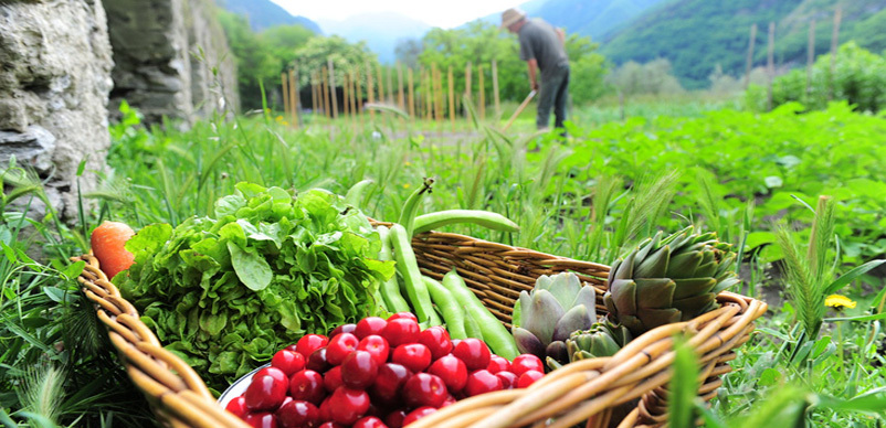 agricultura-ecologica 2