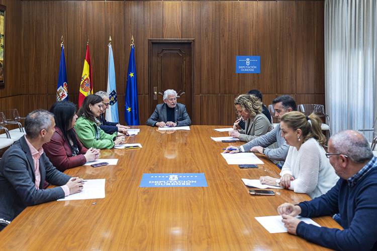 Reunión da Xunta de Goberno da Deputación Ourense. Asisten Rosendo Fernández (Vicepresidente 1º da Deputación de Ourense); César Fernández Gil (Vicepresidente 2º da Deputación de Ourense); Placido Álvarez Dobaño (VicePresidente 3º); Jorge Pumar (Deputado PPOU); Luz Doporto Real (Deputado PPOU); Patricia Torres Madureira (Deputado PPOU); Ana María Villarino Pardo (Deputado PPOU); Pablo Pérez Pérez (Deputado PPOU); Mónica Legaspi (Interventora Deputación Ourense); Adamantino Barreiro García (Vicesecretario da Deputación de Ourense).