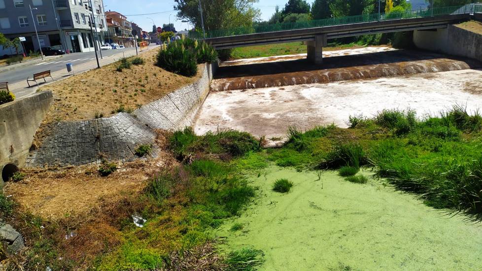 Aspecto do río Limia este mércores ao seu paso polo centro de Xinzo (2)
