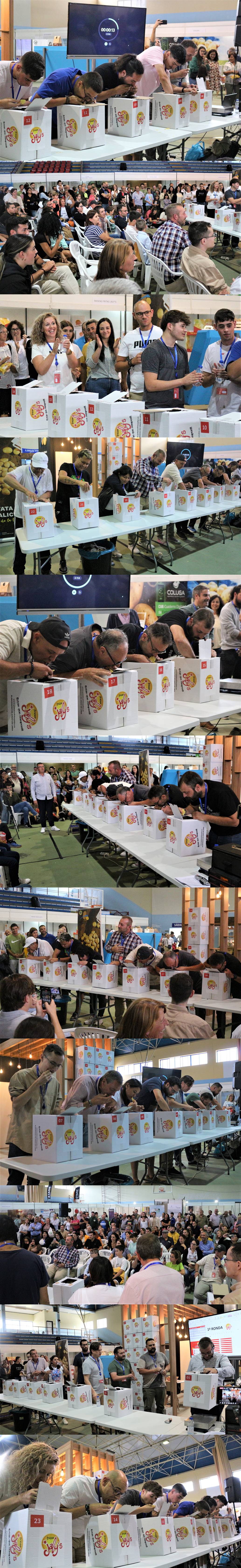 concurso patacas 1